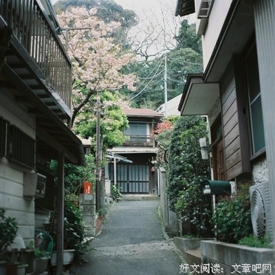 浪迹天涯的语句摘抄_关于浪迹天涯的语句