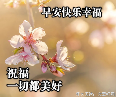 关于自暴自弃的唯美语录