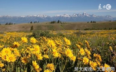 一生靠自己（写的真好！）