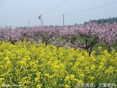 来越句子大全