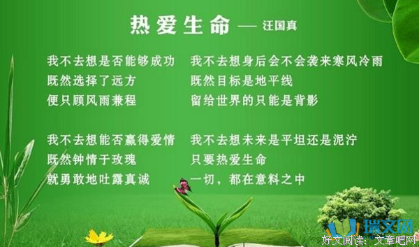有关司汤在里名言