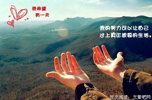 最新的《星落芜莲》经典句子