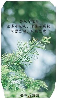 千寻句子大全
