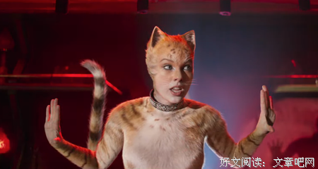 《猫咪后院之家》经典影评1000字