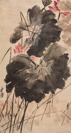 《百花盛开的国度》的观后感大全