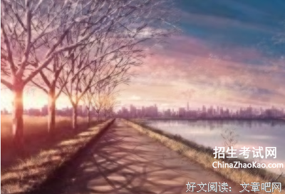 《来自月亮的我》观后感摘抄