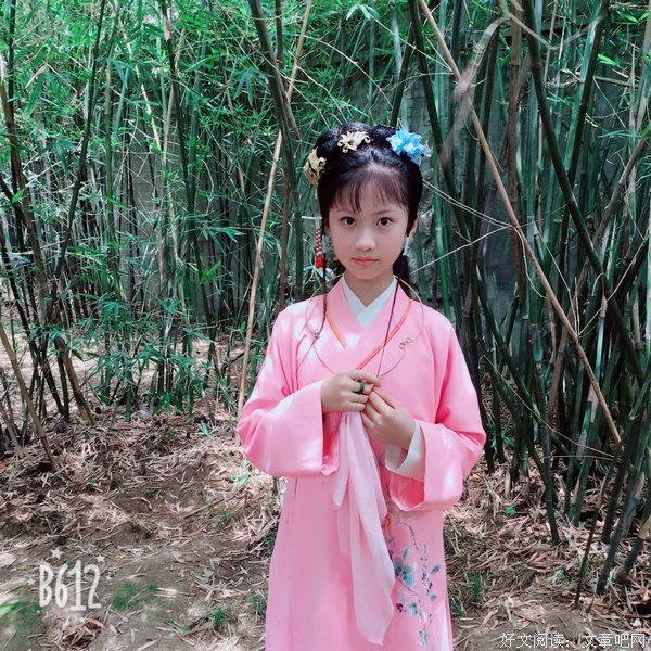 《小戏骨：红楼梦之刘姥姥进大观园》好看吗？经典影评锦集