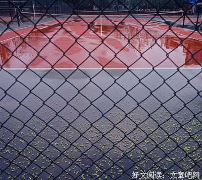《政法往事》的读后感大全