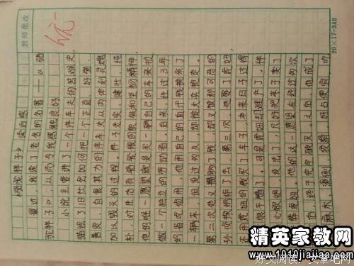 《娱乐这圈儿》的读后感大全