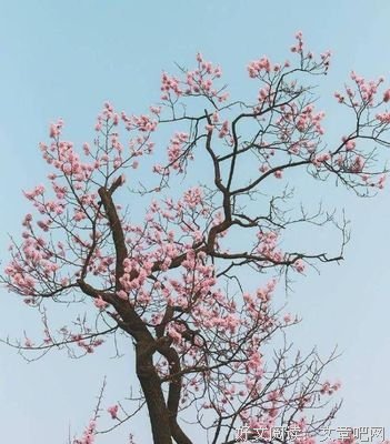 关于若隐若现名言名句
