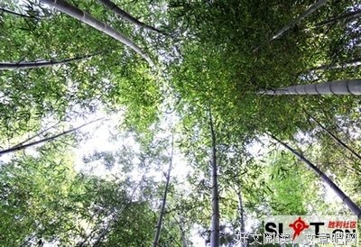 最经典的《家和万学觉将下兴--致全体禅院草的公开信》经典语句