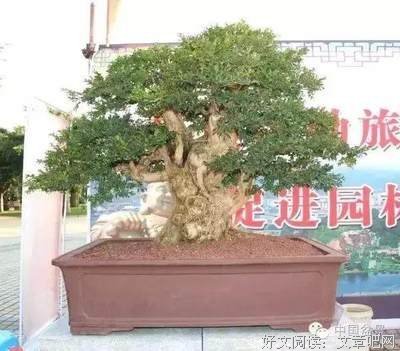 时间是一位雕刻大师