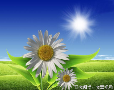 真正聪明的人，从来不吵架