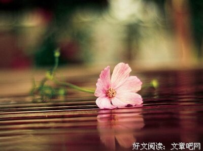 我使劲握紧的么气国留不住的美好。句子大全