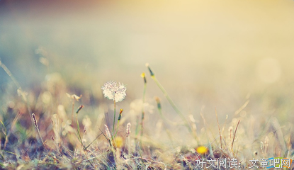 赌书泼茶香染袖。的优美句子