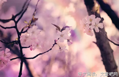 喜欢秒回微信的人，一般都是这4种脾气，有你吗？