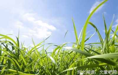 关于难以忍受的语句