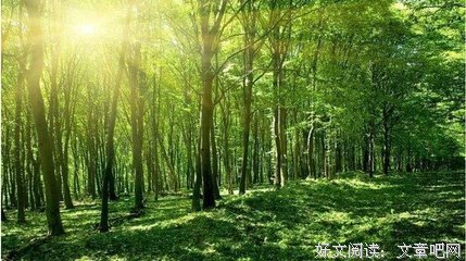 风风雨雨的语句摘抄_关于风风雨雨的语句