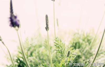 深思熟虑的语句摘抄_关于深思熟虑的语句