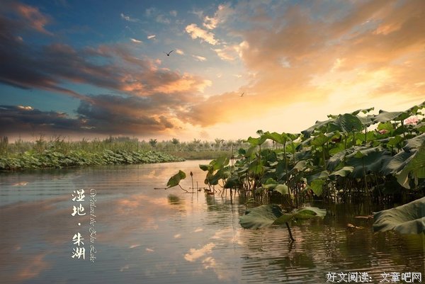 前道朱湖经典的句子