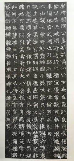 不说爱断情伤，人间至味是遗忘