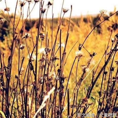 懂自己比被人懂，更重要！