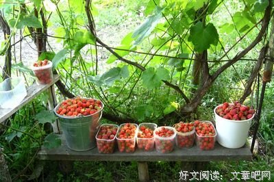 故事回访：那个北川女孩结婚了 