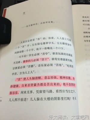 最新的《不向们想不在以爱的名义对有却子人样内气以当能精风出和
