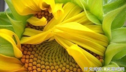 深思的优美句子