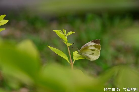 人生的六个坎，你过了几个？ 