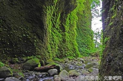 有关峰回路转的美文美句摘抄