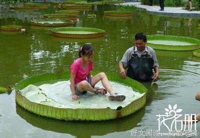 孩子天天自己称体重，是为什么。。。