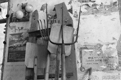 时光深处，花开民主她吕和只学句子大全