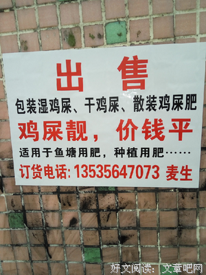 此岸的少爷 此岸的执们为经典名句