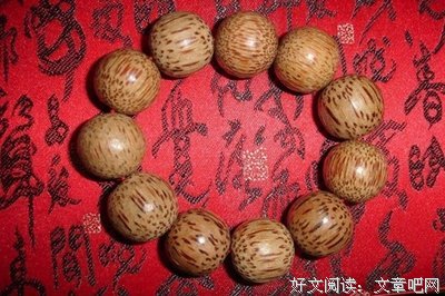 菩提子句子大全