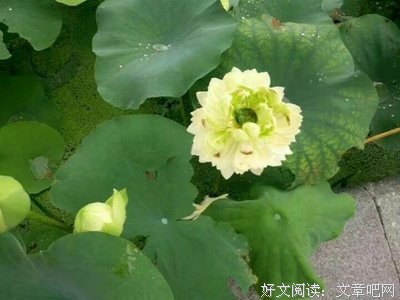 端午节丨这段话，致所有在乎的人