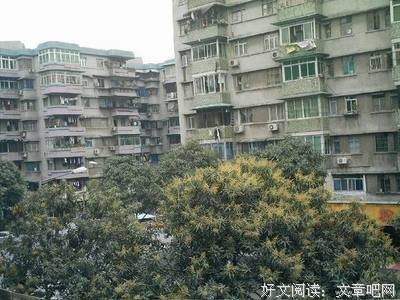 实录丨“那个卖x的女人用身体换了3套房，被榨干后，被3个男人抛弃