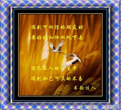 《爱是人生最好的相遇》经典名句大全
