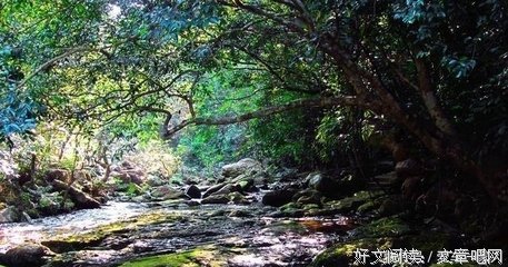 《隐秘的角落》凭什么这么火？