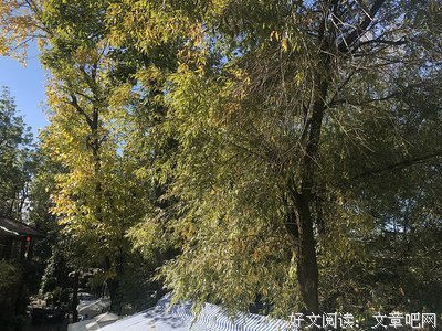 此情若是长久时的句子