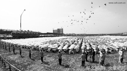 《辩论中国模式》的读后感大全