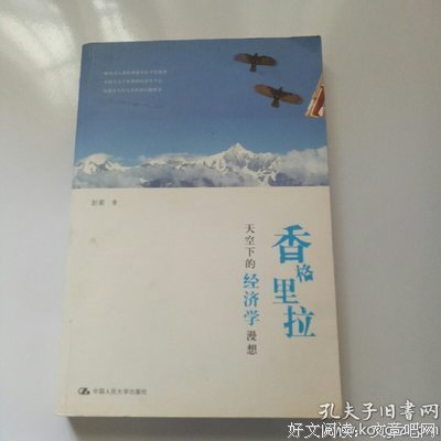 香格里拉天空下的经济学漫想经典读后感有感