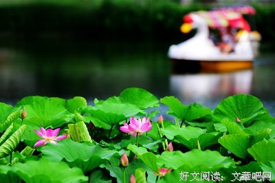 关于热气腾腾的语句