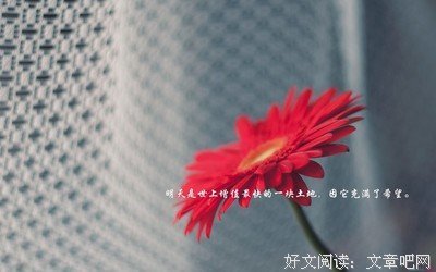 关于不露声色名言名句