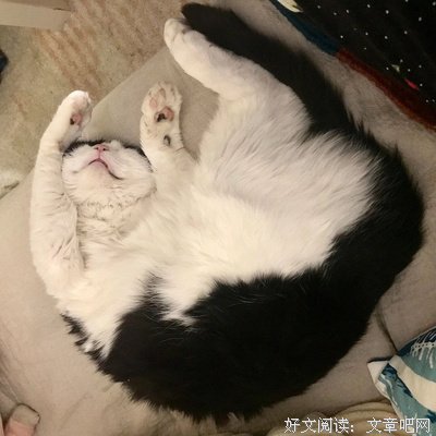 做人，真难……