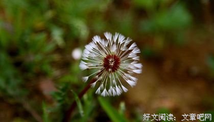 关于从古至今的唯美语录