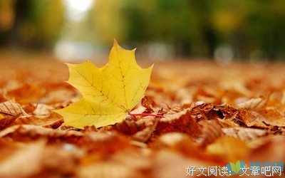 描写真相大白的经典句子