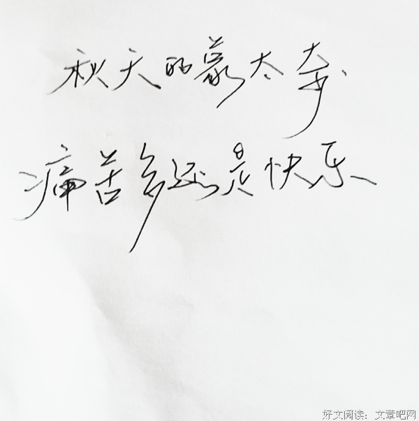 《作歌》的句子