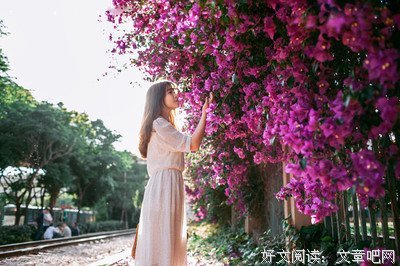 心念夏花，安暖相伴，微笑前行