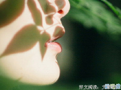 《离殇》的句子